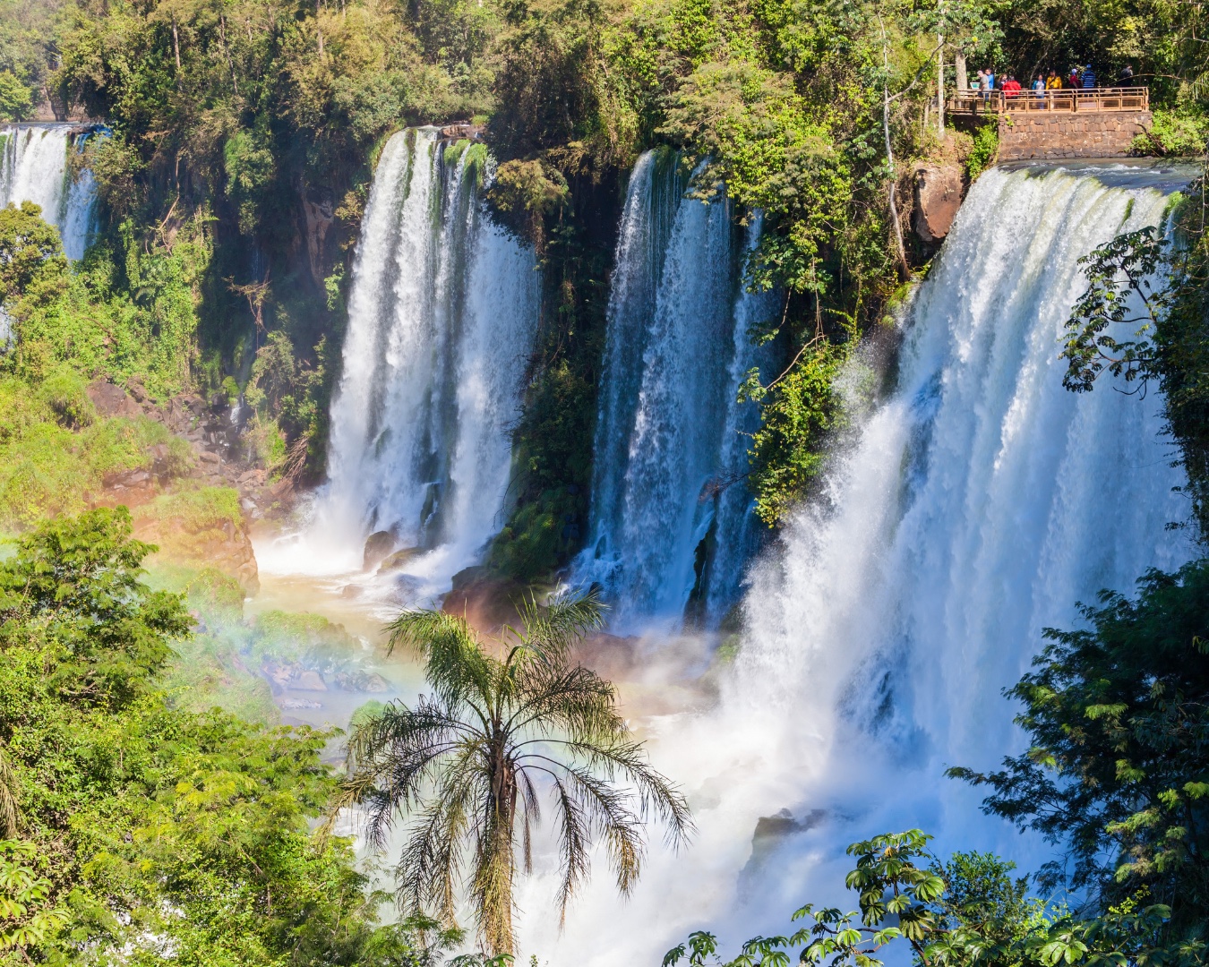 Iguazú Falls surrounded by the lush Misiones rainforest